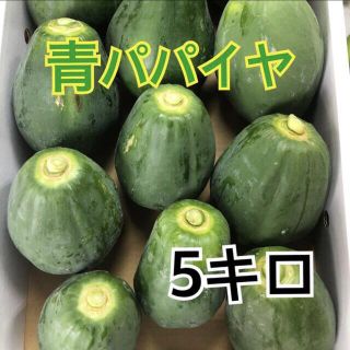 青パパイヤ 5キロ(野菜)