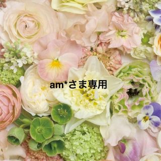 am*さま専用ページ♡ コスメ/美容のネイル(つけ爪/ネイルチップ)の商品写真