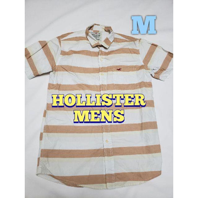 Hollister(ホリスター)のHOLLISTER/ホリスター/MENS/半袖ボーダーシャツ/白系/Mサイズ メンズのトップス(シャツ)の商品写真