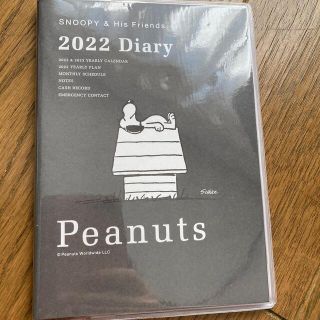 ピーナッツ(PEANUTS)のPEANUTS スヌーピー 2022手帳(マンスリー)(カレンダー/スケジュール)