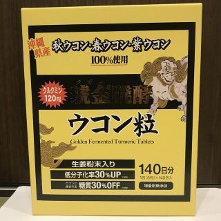 沖縄県産 ウコン堂　琥金醗酵ウコン粒　140日分　賞味期限2022.2.2(その他)