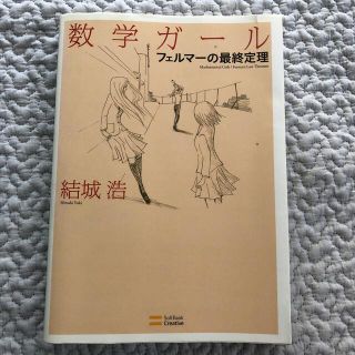 フェルマーの最終定理　数学ガール　結城　浩(文学/小説)