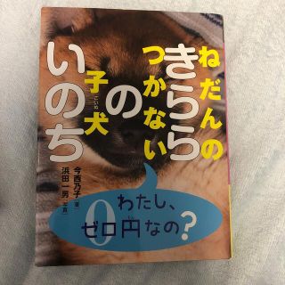 ねだんのつかない子犬きららのいのち(絵本/児童書)