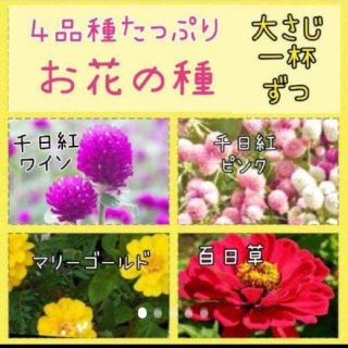 お花の種 ４品種セット(プランター)