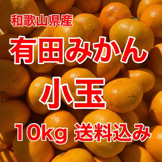 有田みかん🍊小玉🍊10㎏🍊家庭用🍊送料込み 食品/飲料/酒の食品(フルーツ)の商品写真