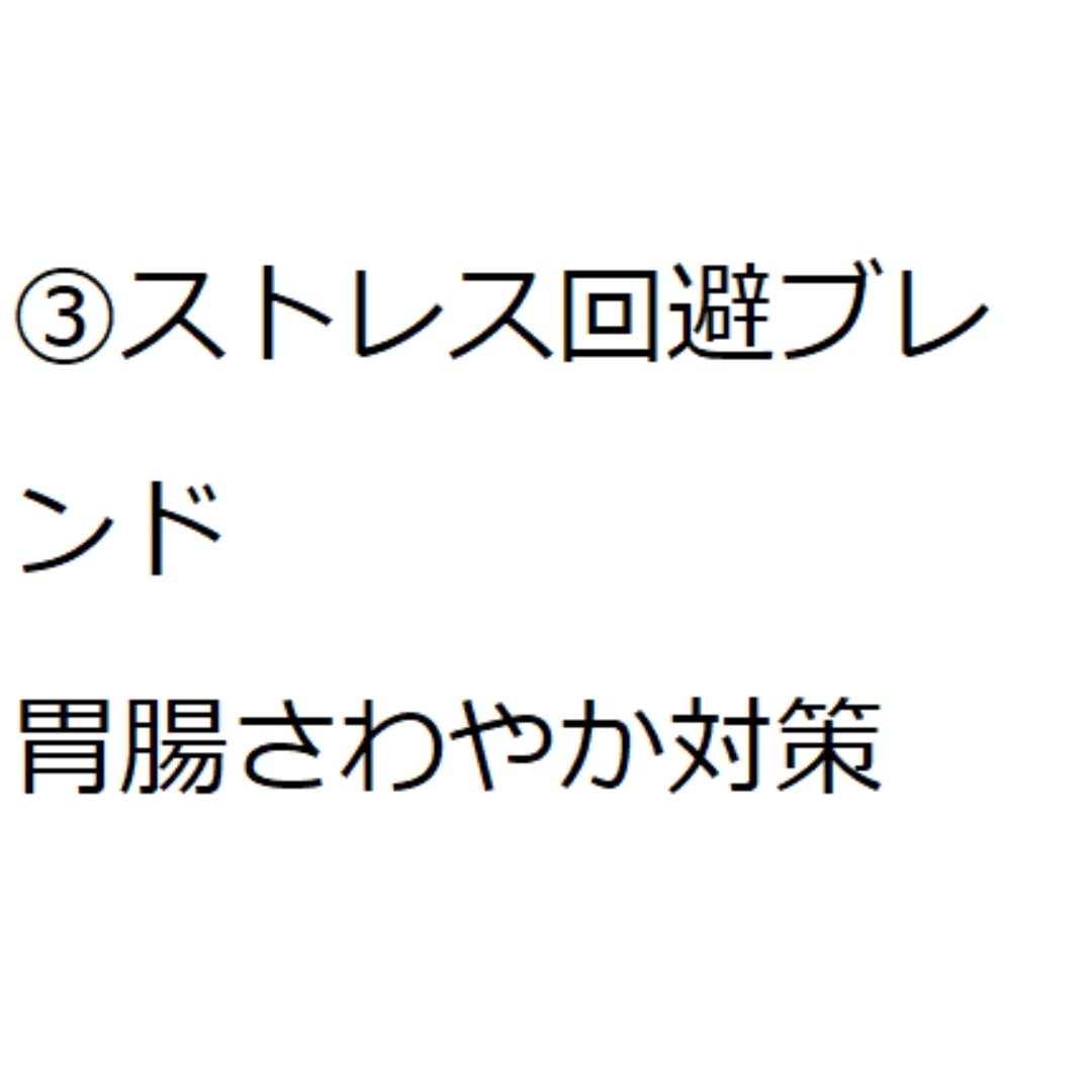 1830→1610　③ストレス回避"ペパーミントブレンドハーブティー" 食品/飲料/酒の飲料(茶)の商品写真