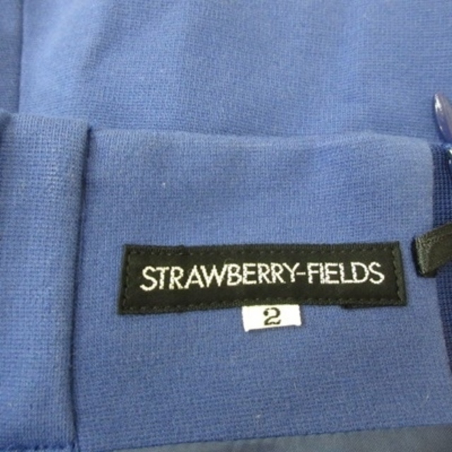 STRAWBERRY-FIELDS(ストロベリーフィールズ)のストロベリーフィールズ フレアスカート ミモレ ロング 2 青 ブルー /YI レディースのスカート(ロングスカート)の商品写真