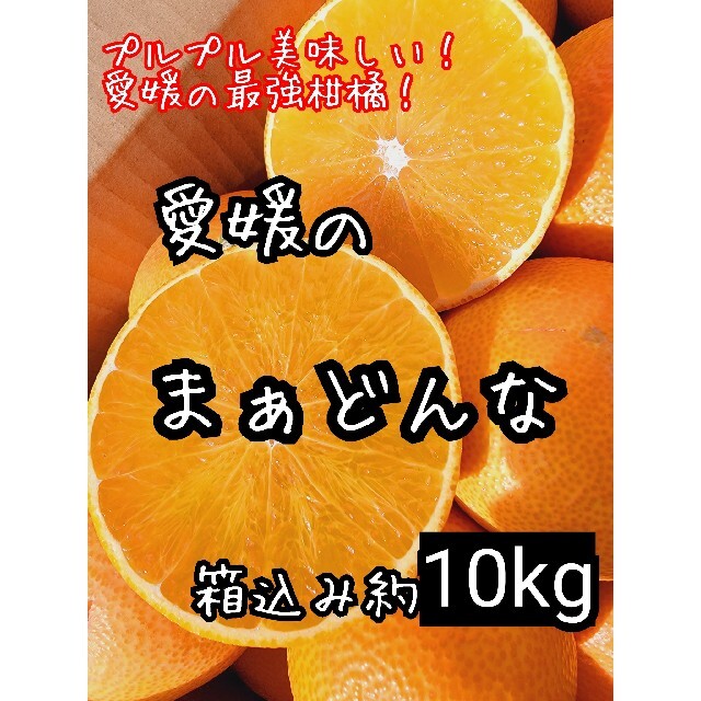 フルーツ愛媛県産　まぁどんな　少し訳あり　箱込み約10kg　まどんな