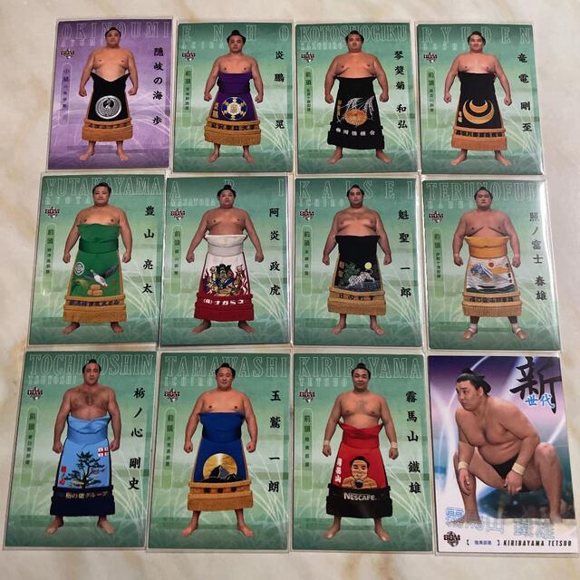 BBM 大相撲カード　2020 【新】　12枚セット スポーツ/アウトドアのスポーツ/アウトドア その他(相撲/武道)の商品写真