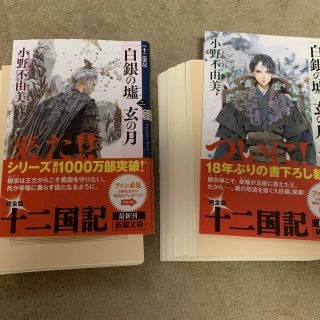 白銀の墟 玄の月 1 ・2十二国記(文学/小説)