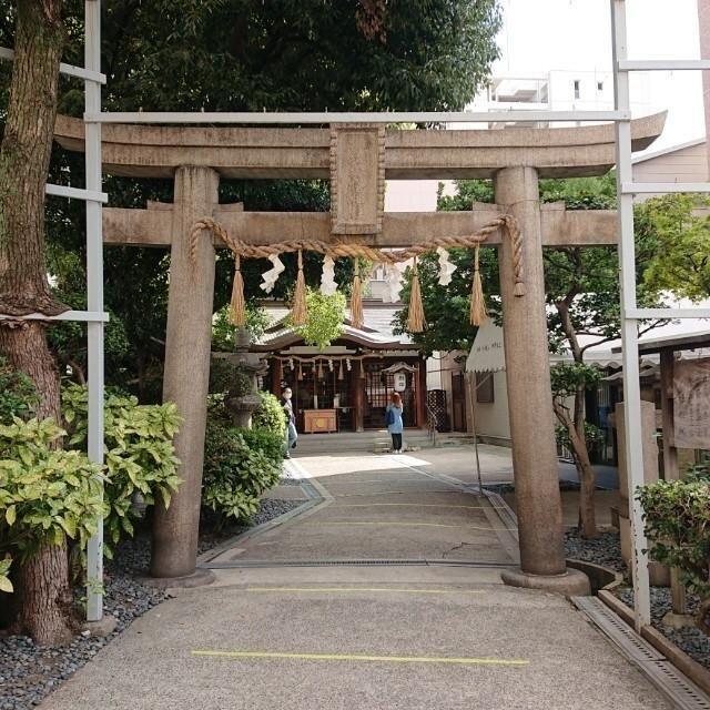 ✡️金運 御守り ゴールド エネルギー カタカムナ 蛇 風水 希少 財布