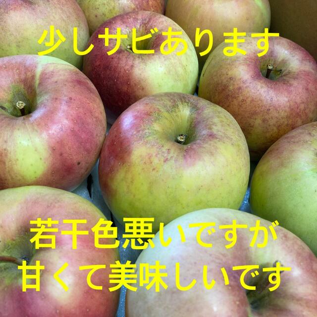 信州りんご　ぐんま名月　約7キロ 食品/飲料/酒の食品(フルーツ)の商品写真