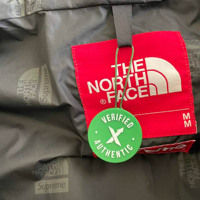 Supreme(シュプリーム)のSupreme　The North Face Expedition Jacket メンズのジャケット/アウター(マウンテンパーカー)の商品写真