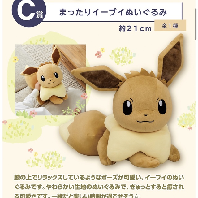 ポケモン　一番くじ　ラストワン賞、C賞、D賞、E賞 2