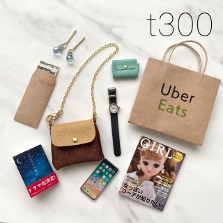 t300.出品300品目特別限定セット(ミニチュア)