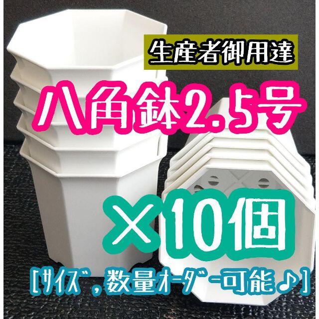 ◎10個◎八角鉢 2.5号 ホワイト 2.5寸 シャトル鉢  ハンドメイドのフラワー/ガーデン(プランター)の商品写真