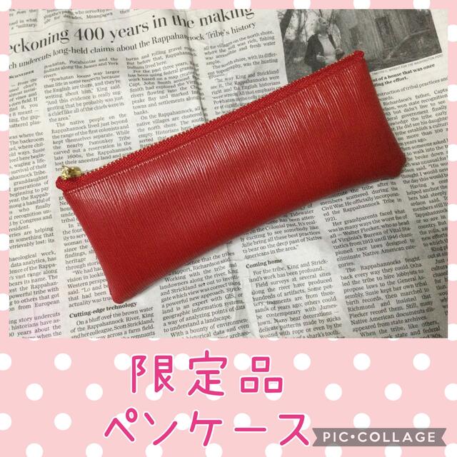 ミナペルホネン　　ハンドメイド　パッチ　ペン♡メガネ　ポーチ