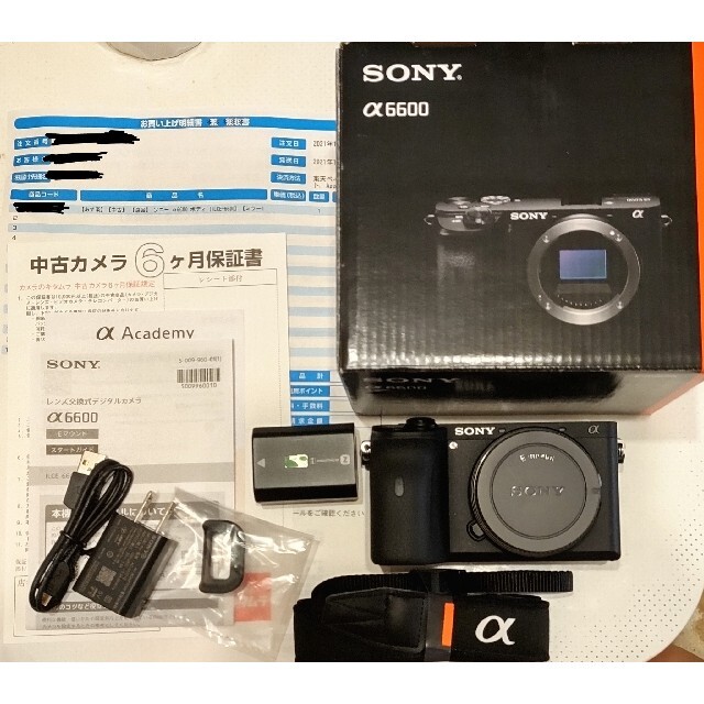 SONY α6600 ILCE-6600 ボディ ソニー