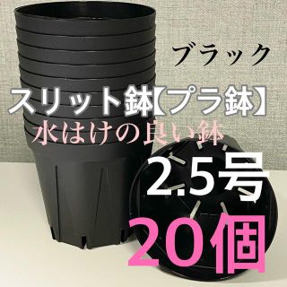 スリット鉢2.5号 直径7.5センチ 20個(プランター)