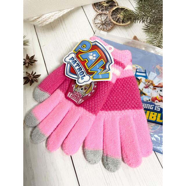 新品 パウパトロール 手袋 パウパト スカイ キッズ 手ぶくろ