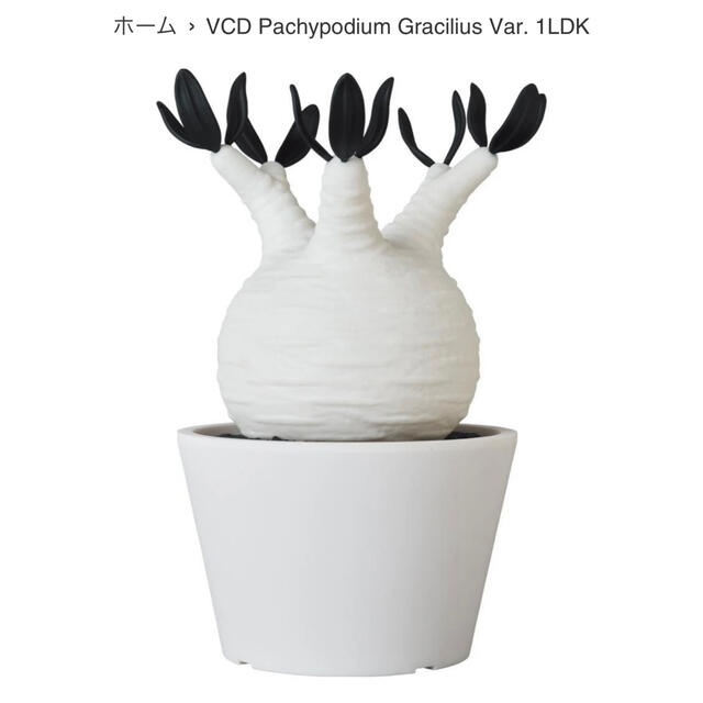 MEDICOM TOY(メディコムトイ)のVCD Pachypodium Gracilius Var. 1LDK  エンタメ/ホビーのフィギュア(その他)の商品写真