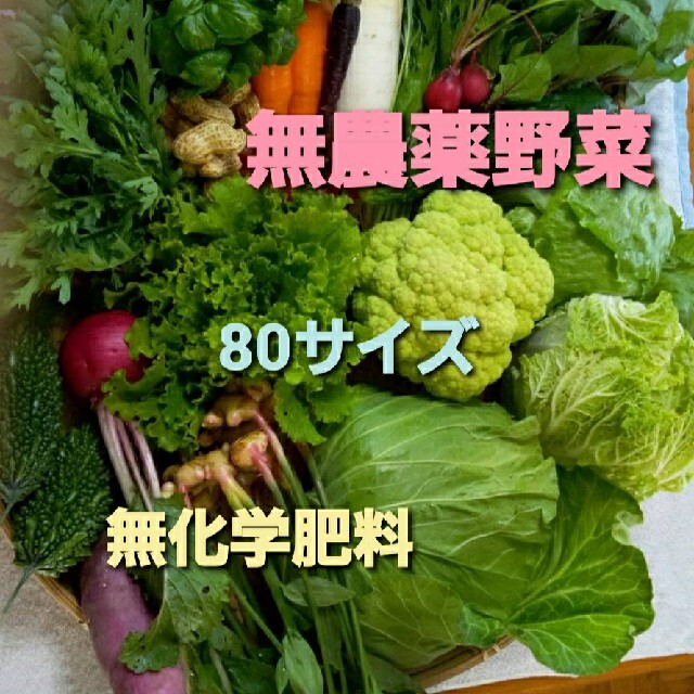 無農薬野菜　80サイズ 食品/飲料/酒の食品(野菜)の商品写真