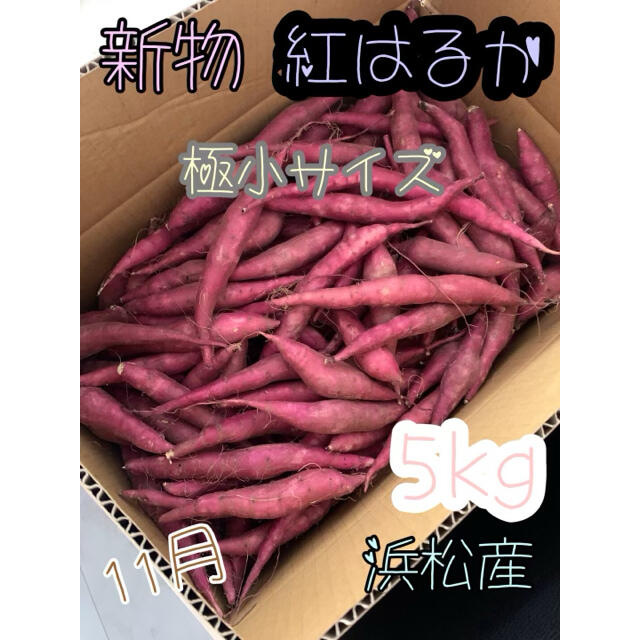 #9 SSサイズ 極小 紅はるか 5キロ サツマイモ さつまいも 5kg  食品/飲料/酒の食品(野菜)の商品写真