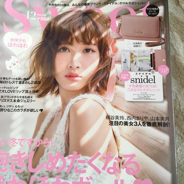 SNIDEL(スナイデル)のスナイデル マルチポシェット レディースのファッション小物(財布)の商品写真