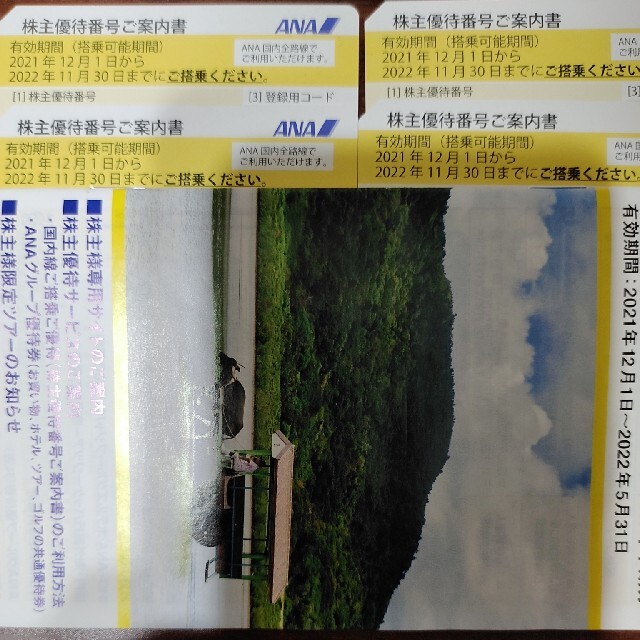 ANA(全日本空輸) - ANA株主優待券 4枚と冊子1冊の通販 by 味噌ラーメン 