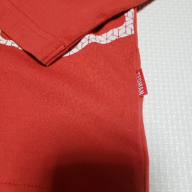 TEDMAN(テッドマン)のテッドカンパニー テッドマン バックロゴプリント 長袖Tシャツ メンズのトップス(Tシャツ/カットソー(七分/長袖))の商品写真