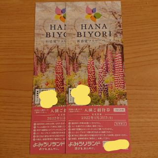 よみうりランド　株主優待券　HANABIYORI　ハナビヨリ　招待券　2枚(遊園地/テーマパーク)