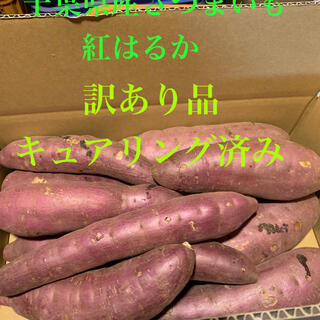 千葉県産さつまいも　紅はるか5.5キロ　訳あり品B級品　洗浄キュアリング済み(野菜)