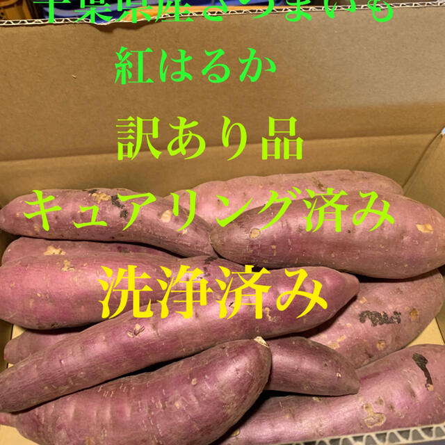 千葉県産さつまいも　紅はるか10キロ B級品訳あり品　洗浄キュアリング済み 食品/飲料/酒の食品(野菜)の商品写真