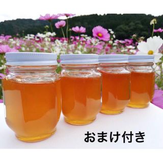 日本ミツバチ2年物秋採れはちみつ(150g x4) 非加熱 無添加 国産はちみつ