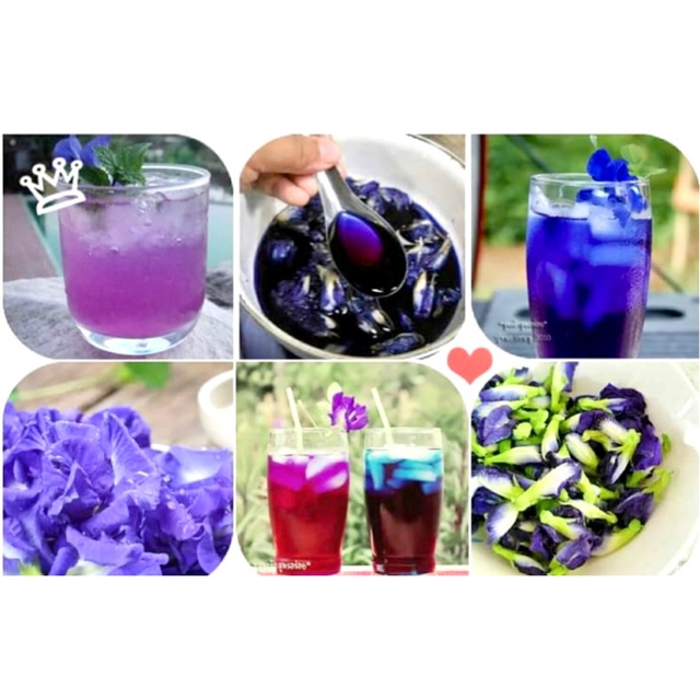 ★チョウマメの花(Butterfly Pea)20gタイ産100%Organic 食品/飲料/酒の健康食品(健康茶)の商品写真