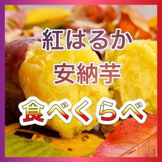 さつまいも『紅はるか』『安納芋』食べくらべ5kg(野菜)