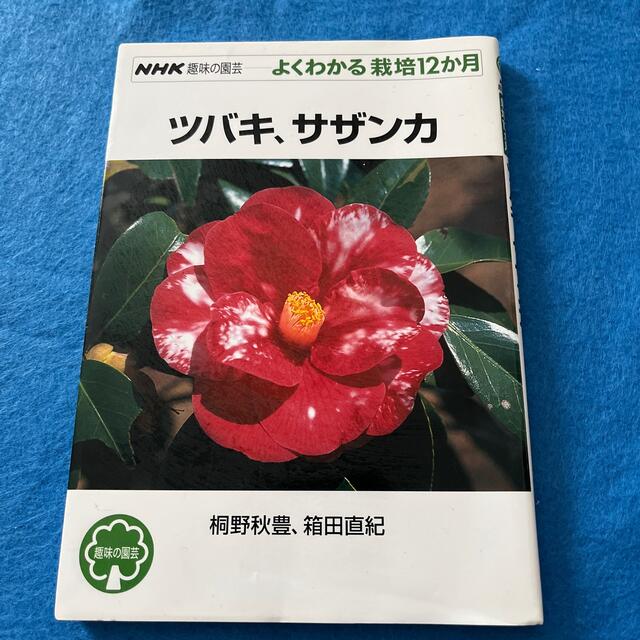 ツバキ、サザンカ　NHK 趣味の園芸 エンタメ/ホビーの本(趣味/スポーツ/実用)の商品写真