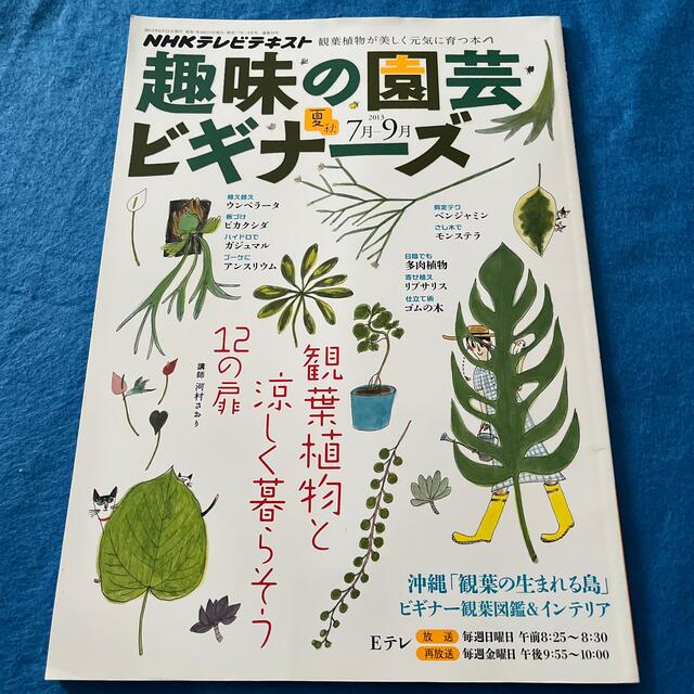 趣味の園芸ビギナーズ 2013年 07月号 エンタメ/ホビーの雑誌(その他)の商品写真