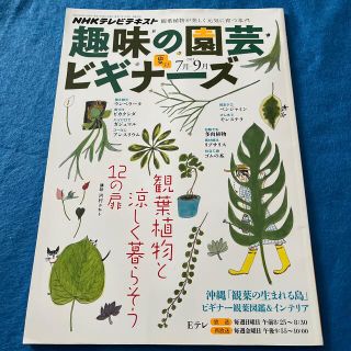 趣味の園芸ビギナーズ 2013年 07月号(その他)