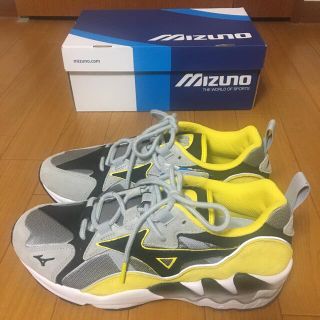 ミズノ(MIZUNO)のミズノ　ウェーブライダー　メンズスニーカー　 新品未使用品(スニーカー)