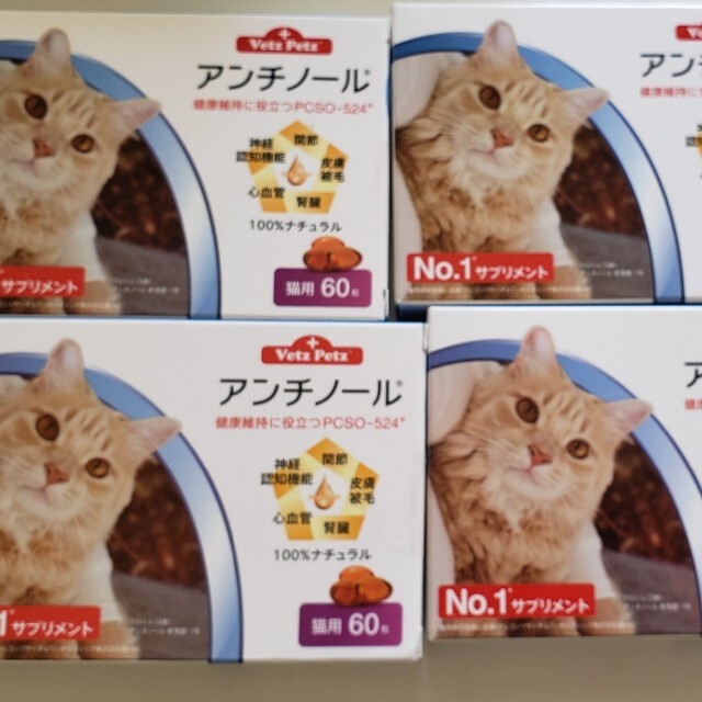 アンチノールプラス　猫　６０粒×４箱エネアラ