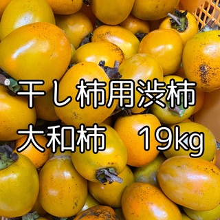 ゆーみん様専用　徳島県産　干し柿用渋柿　大和柿　19kg(フルーツ)