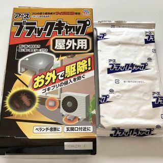 アースセイヤク(アース製薬)のアース　ブラックキャップ　屋外用(日用品/生活雑貨)