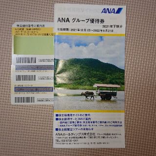 エーエヌエー(ゼンニッポンクウユ)(ANA(全日本空輸))のANA 株主優待券3枚+優待券冊子(ショッピング)