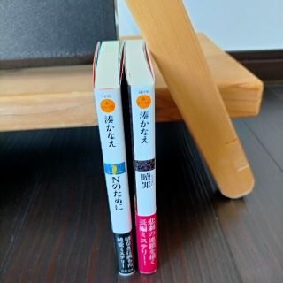 ぬひょん様専用　贖罪　Nのために　2冊セット(その他)