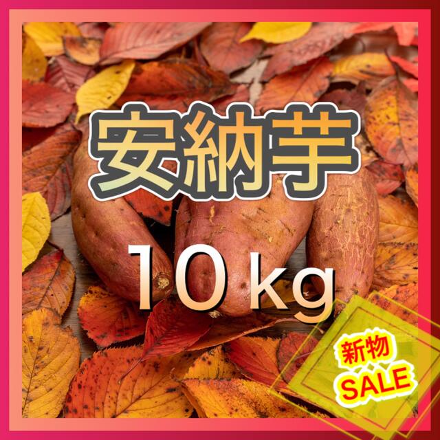 さつまいも『安納芋』10kg  食品/飲料/酒の食品(野菜)の商品写真