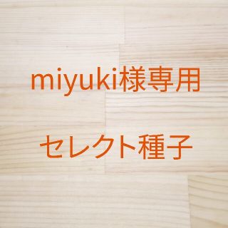 miyuki様専用　セレクト種子　2袋(野菜)