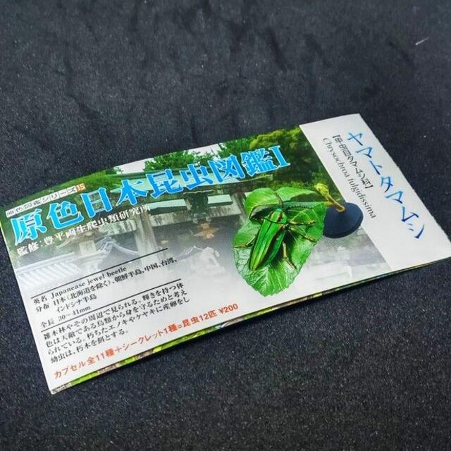 ユージン ガチャ 原色日本昆虫図鑑 ヤマトタマムシの通販 by ユージン ガチャ 原色日本昆虫図鑑 ヤマトタマムシの通販 by