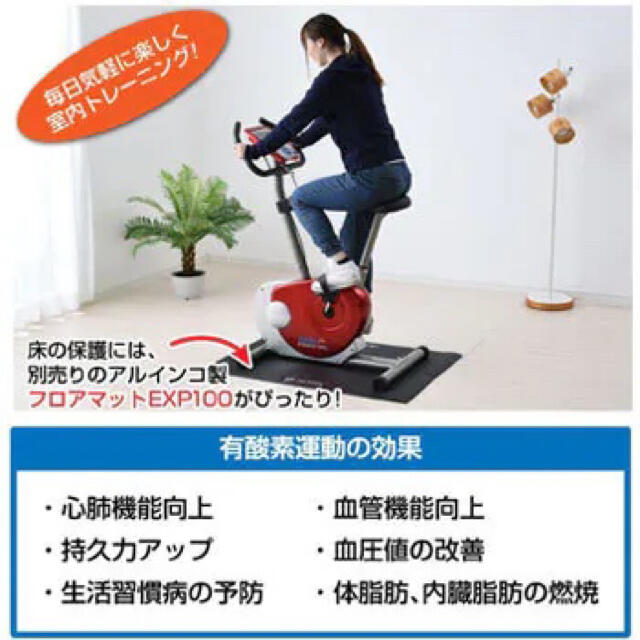 アルインコ(ALINCO) エアロマグネティックバイクレッドAF6200 コスメ/美容のダイエット(エクササイズ用品)の商品写真