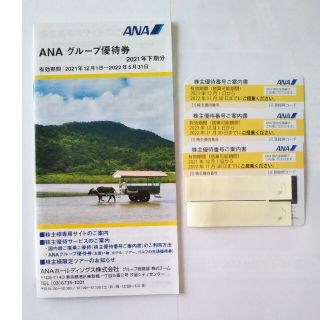 エーエヌエー(ゼンニッポンクウユ)(ANA(全日本空輸))のANA株主優待ご案内書３枚＆ANAグループ優待券(その他)